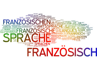 Fanzösisch