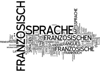 Fanz&ouml;sisch