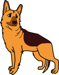 シェパード German Shepherd Dog