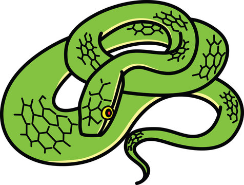 蛇 Snake
