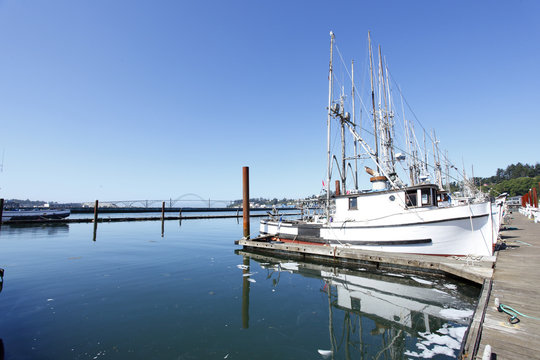 View of fishing boats docked in Newport, Oregon