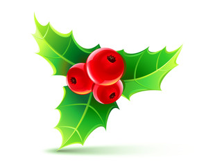holly leaves and berries - Powered by Adobe