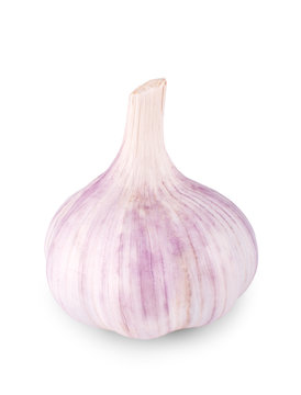 One garlic isolated on white
