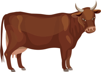 Cow