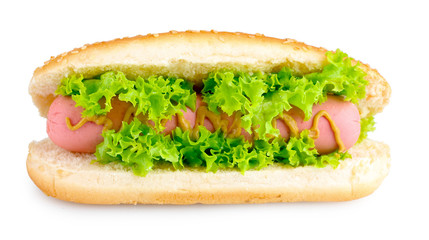 Delicious hot dog with mustard and lettuce isolated on white