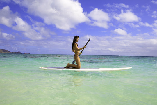 Brunette In Bikini On Paddle Board In Hawaii