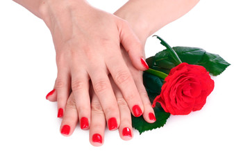 beautiful red manicure and  flower onwhite background