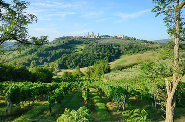 Fototapeta na wymiar San Gimignano i Kraj Tuscan