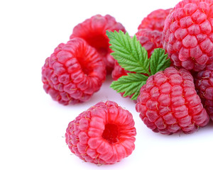 Ripe raspberry in closeup