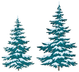 Christmas trees under snow