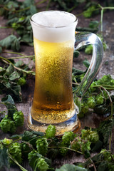 Bier und Hopfen