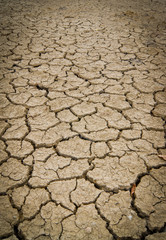 Dry and cracked earth background