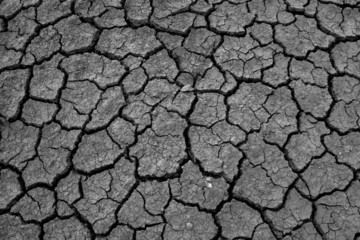 Dry and cracked earth background