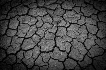 dark Cracked soil of desert