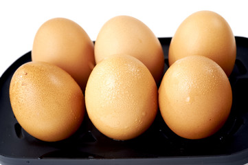 eggs isolated on white background close up