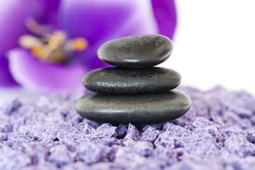 piedras con flor violeta