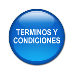 Boton brillante texto TERMINOS Y CONDICIONES
