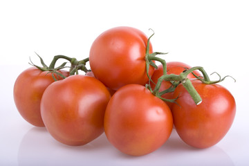 Fresh  tomatoes