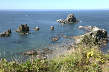 Oregon coast pacific northwest cliffs & beaches.