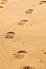foot prints