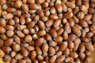 Noisettes
