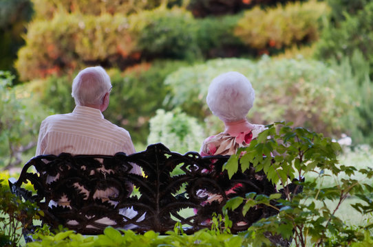 Elderly Couple on a Park Bench