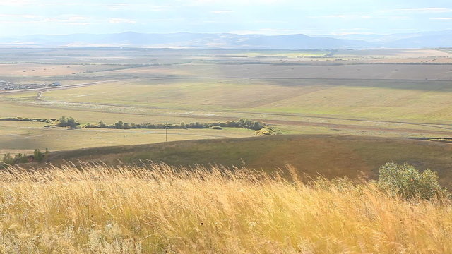 shadows of clouds in the autumn field