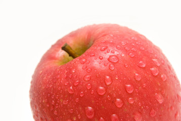 Apple on White Background