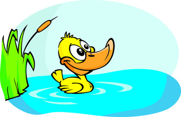 Obraz premium Little Yellow duck