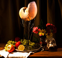 Stillleben mit Nautilus
