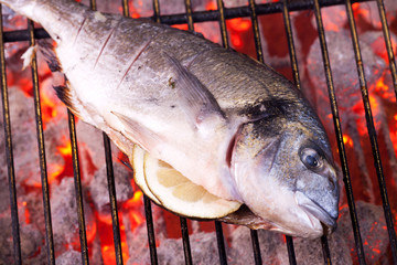 Brasse auf einem Holzkohlegrill