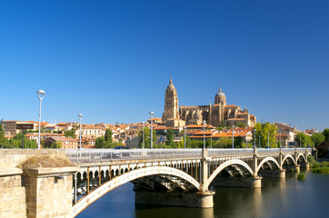 Cathedral of Salamanca - obrazy, fototapety, plakaty