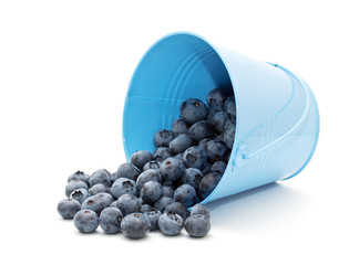 Blueberries in a bucket on a white background