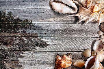 Sea Wooden texture with shells