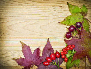 autumn leaves decoration