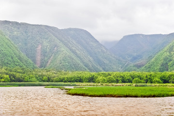 Mounts and jungle in foggy weather. Hawaii.