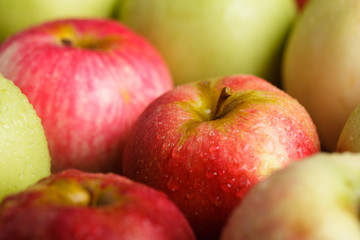 Apples crop