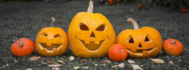 Pumpkins for Halloween