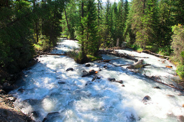 The mountain river