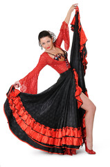 Young elegance flamenco dancer in action