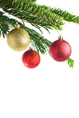 rote Christbaumkugeln an Tannenzweig isoliert auf weiß