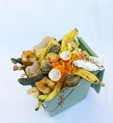bac de déchets pour compost