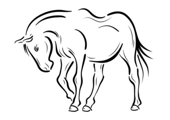 Obraz na płótnie Canvas koń