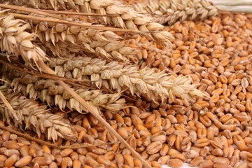 Wheat as bakery product