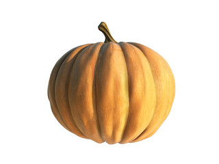 pumpkin isolated on white