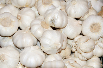 Knoblauch
