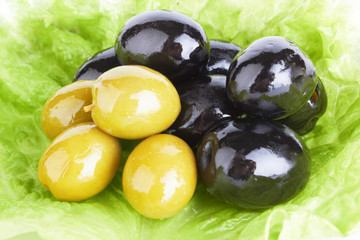 olives in oil with