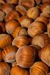 Wood nuts - a filbert