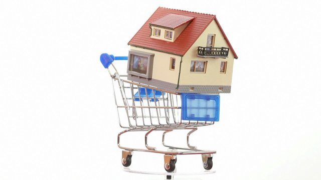 House model placed on shopping cart turning