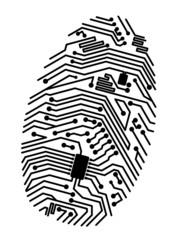 Motherboard fingerprint